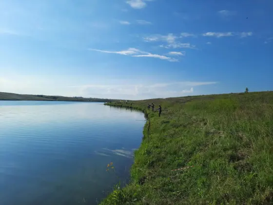 Кубок Алтайского края