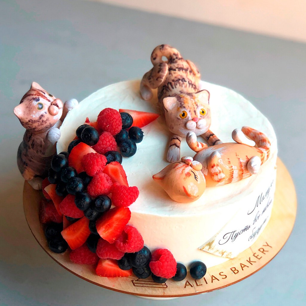 Кошачья компания