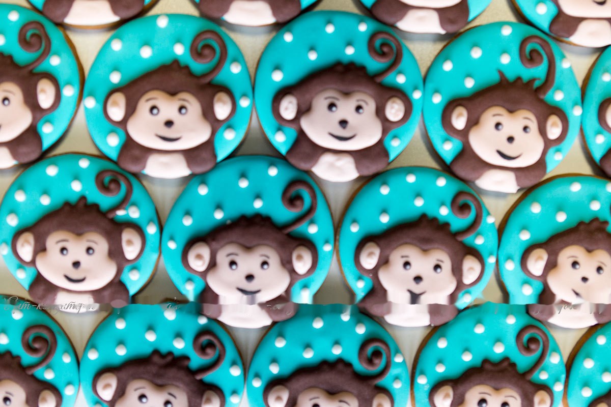 Mickey & Monkeys