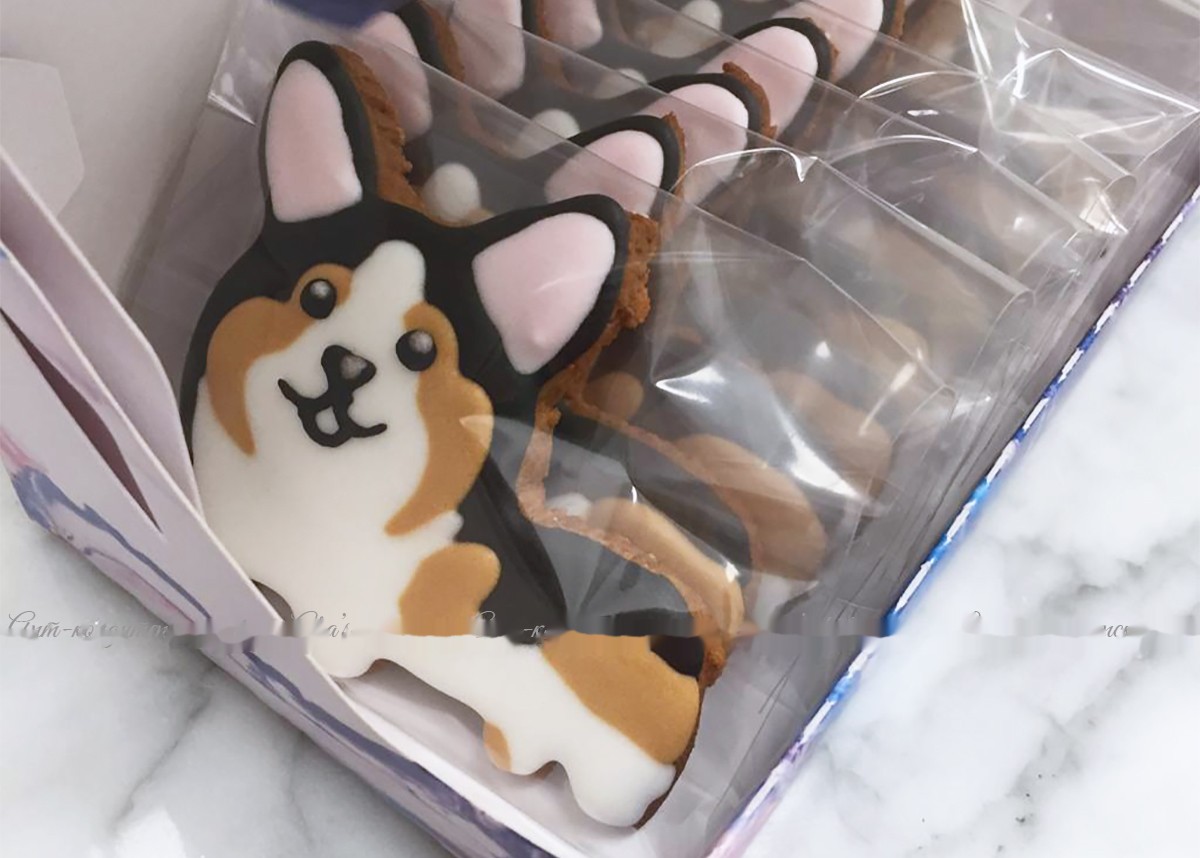 Корги