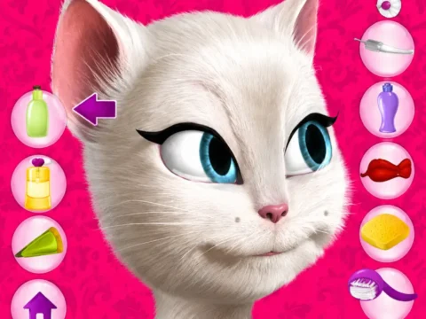 Игра Уход за лицом Анжелы