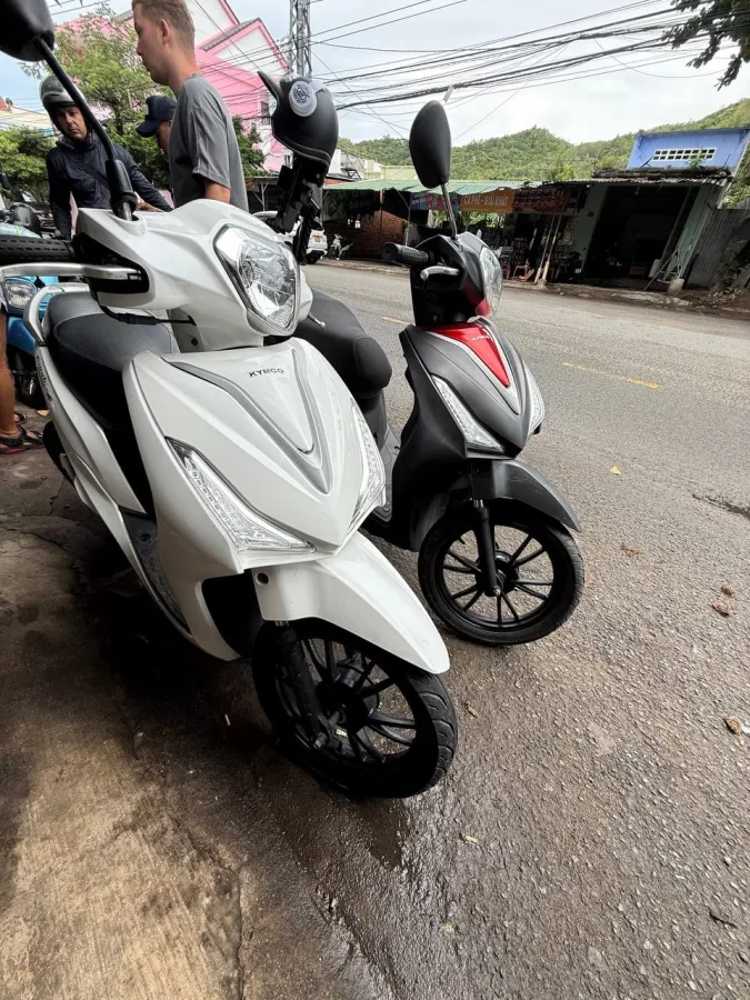 Байки 50cc от 8 млн донгов