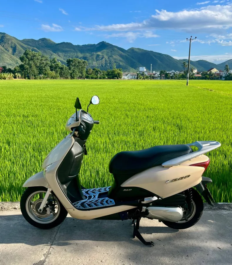 Honda Lead 110, Нячанг