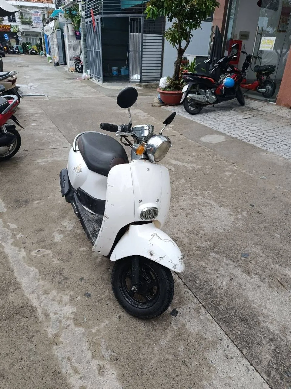 Honda Scoopy 50, 2019
