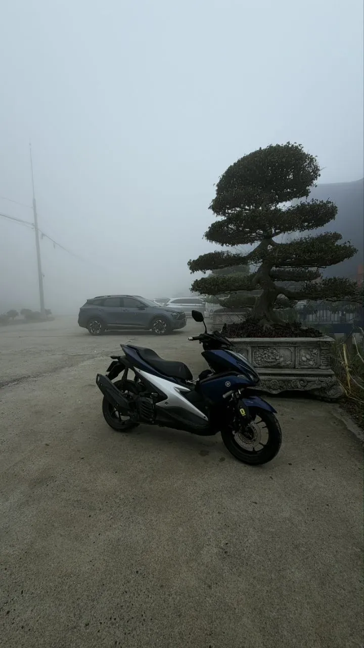 Yamaha NVX 125, 2018