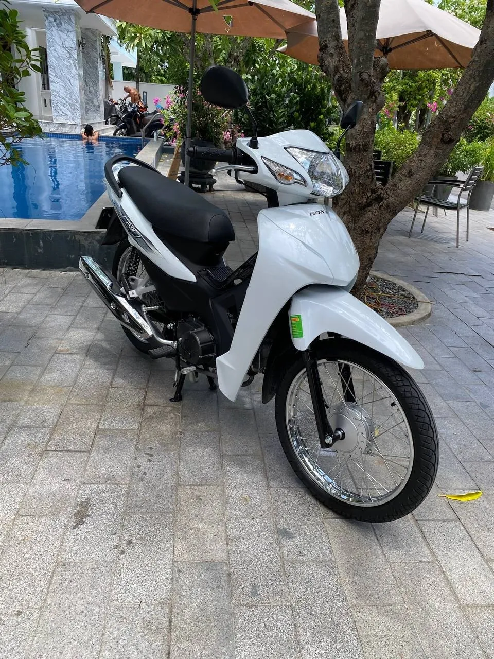 Honda Wave Alpha 2026, 110 см³