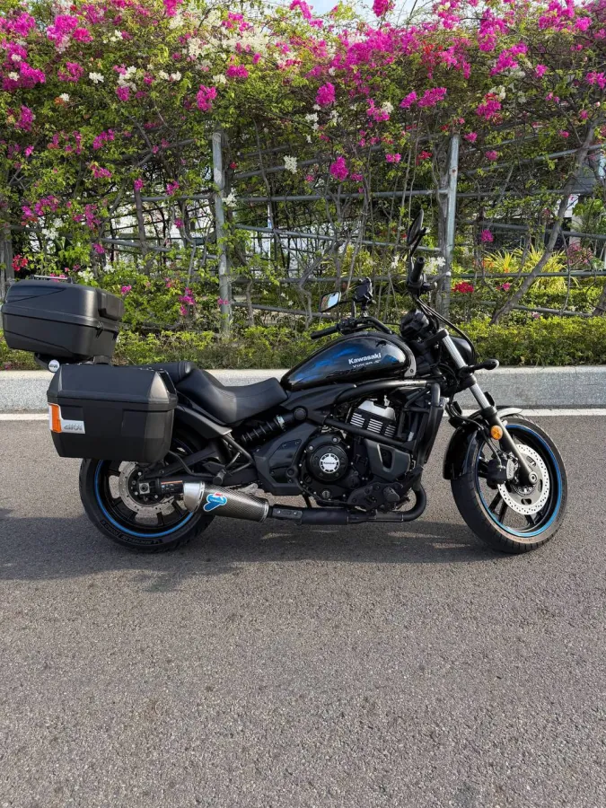 Kawasaki Vulcan 650, 2021