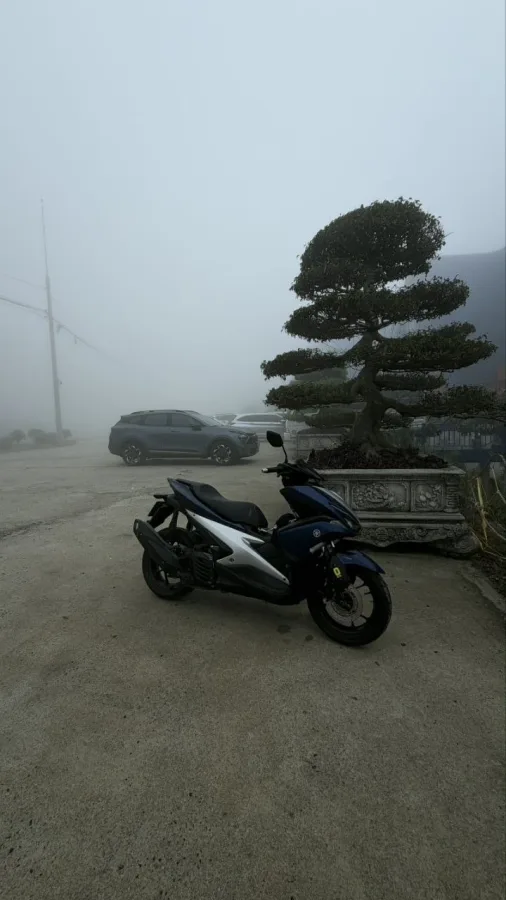 Yamaha NVX 125, 2018 года