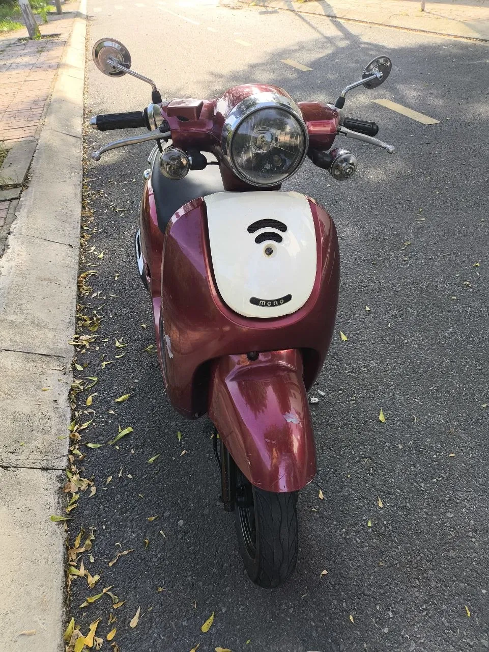 Figiormo Mono bike, 2020