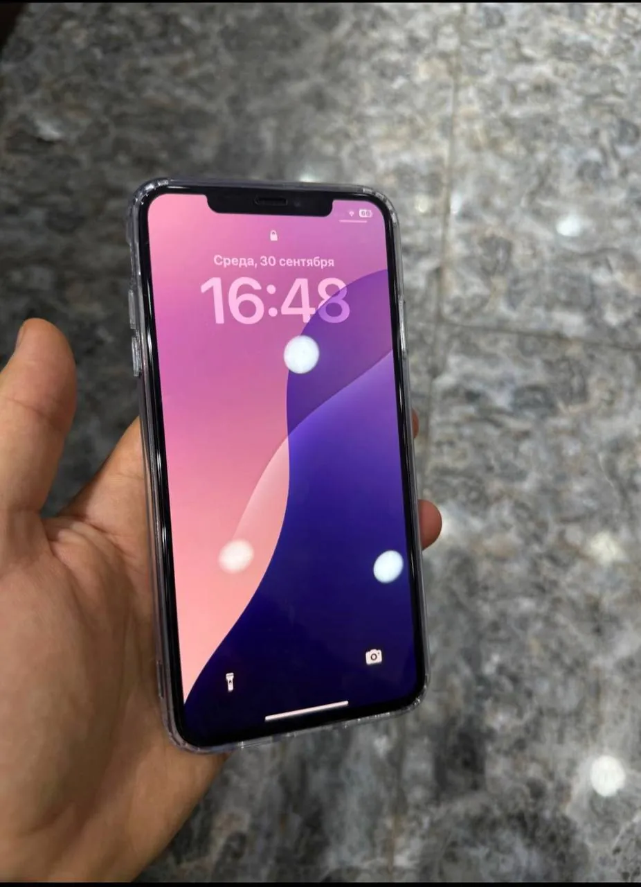 iPhone XS Max 256 ГБ