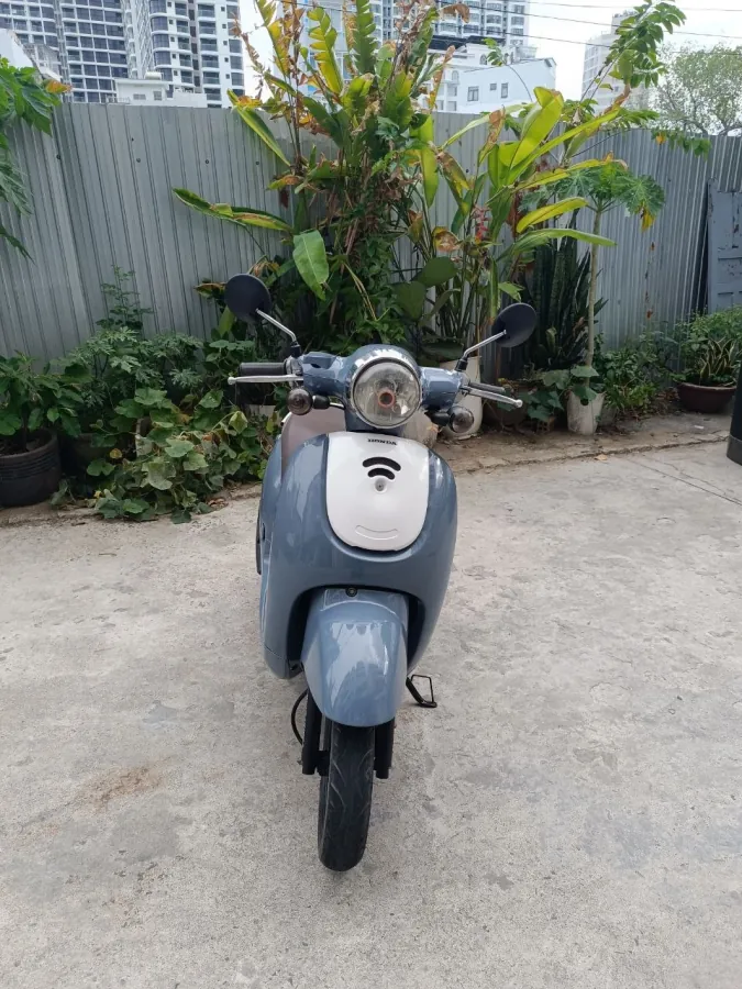 Figiormo Mono 50, 2019 год