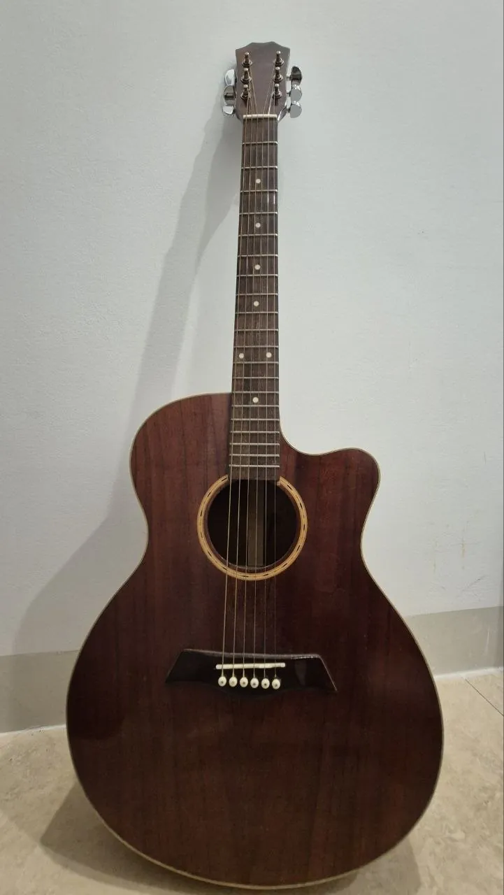 Guitar with case and capo